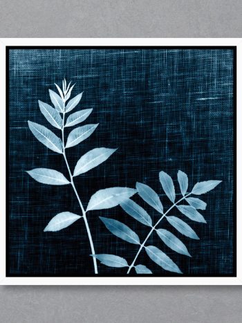 תמונה Leaves on Linen II