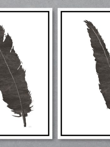 זוג תמונות Black Feather V