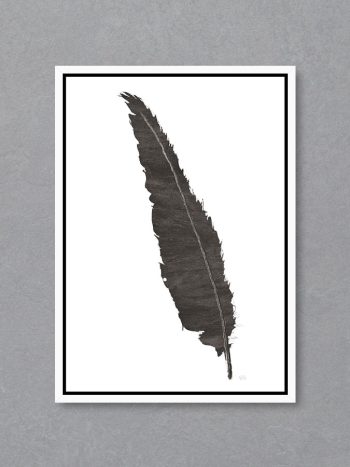 תמונה Black Feather 6