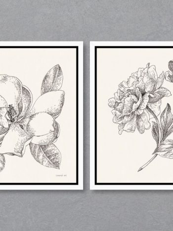 זוג תמונות Flower Sketches II