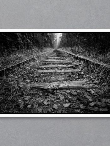 תמונה Black & White Railroad