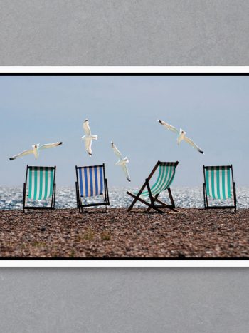 תמונה Beach Birds