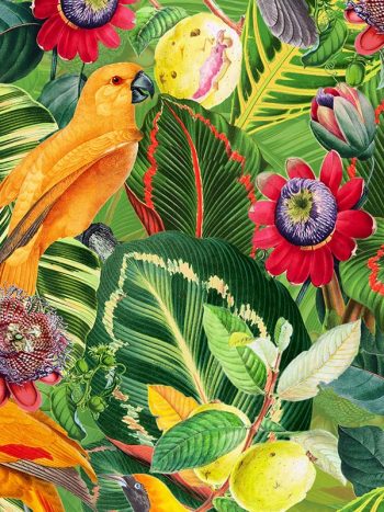 Yellow Parrots in Jungle with Passiflora טפט תוכים