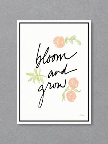 תמונה Bloom and Grow White