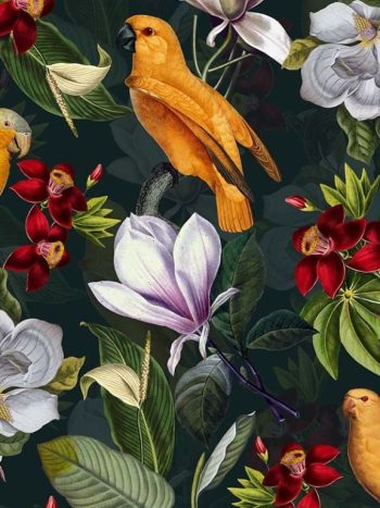 Yellow Parrots In Tropical Flower Magnolia Jungle – on petrol