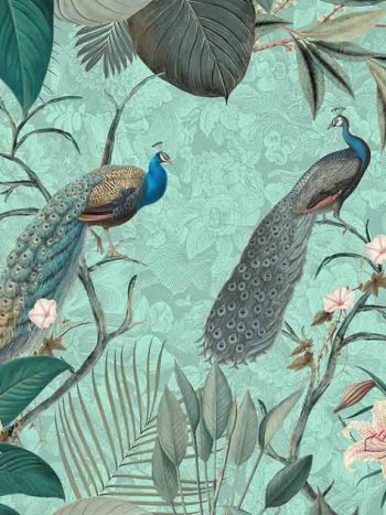 The Peacock Jungle – Tropical