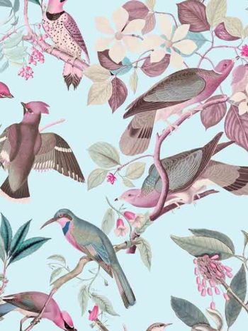 Vintage Birds – Powder