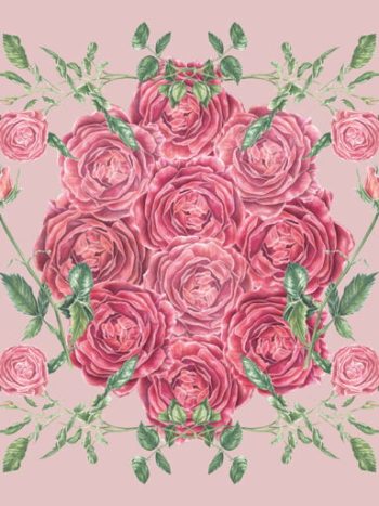 Beautiful Roses – Mural Blush