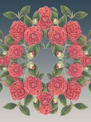 Camellia Wreath Botanical Mural Midnight