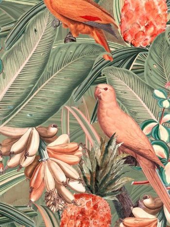 Colorful Birds in Jungle with Bananas – Peach and Green