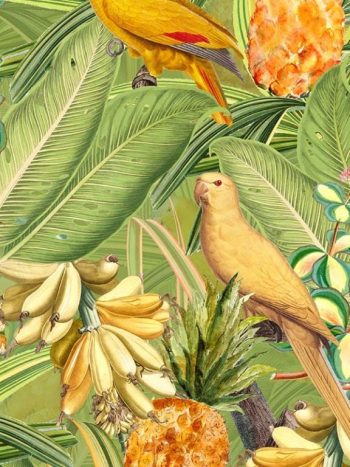 Colorful Birds in Jungle with Bananas