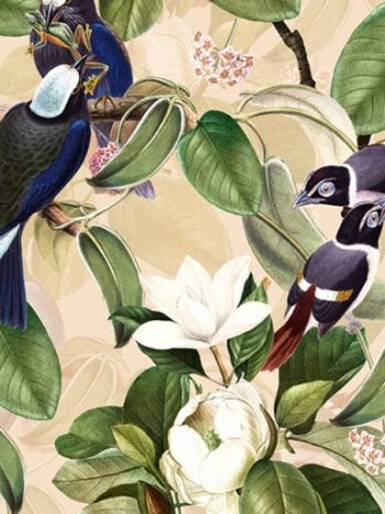 Exotic Blue Birds And Magnolia Garden Cream