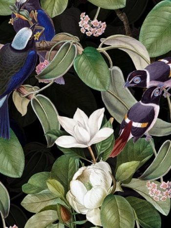 Exotic Blue Birds And Magnolia Garden Night