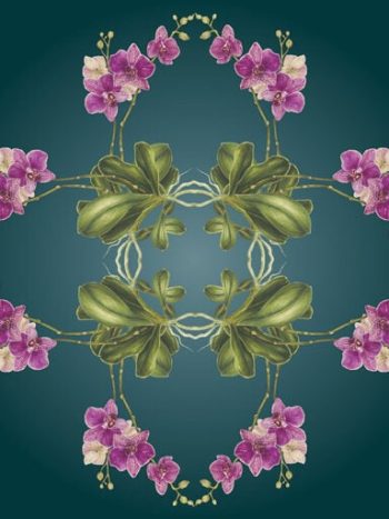 Exotic Orchid Botanical Mural Teal