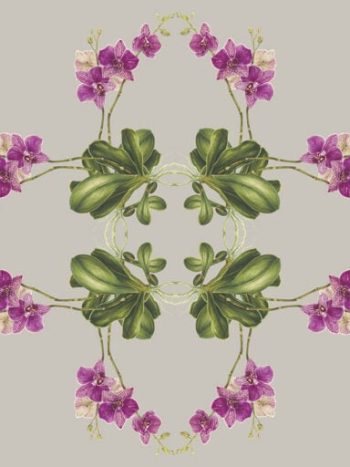 Exotic Orchid Botanical Mural