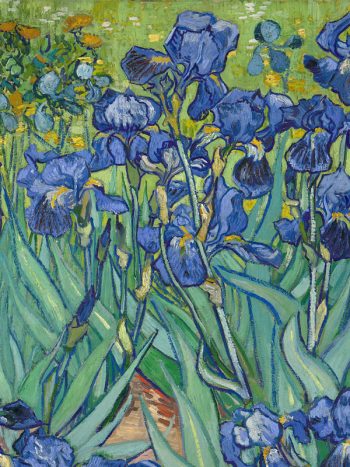 Irises by Vincent van Gogh