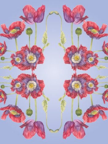 Opium Poppy Wall Mural Lilac