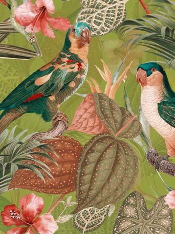 Parrots with Orchids and Hibiscus in Jungle – Orange