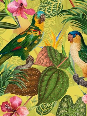 Parrots with Orchids and Hibiscus in Jungle