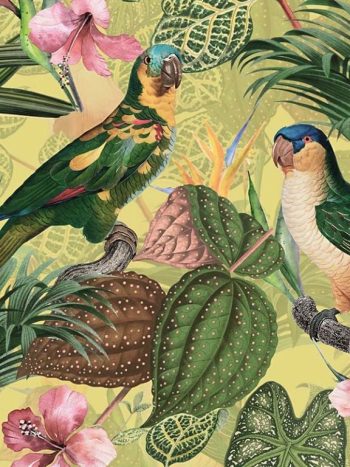 Parrots with Orchids and Hibiscus in Jungle – Pale