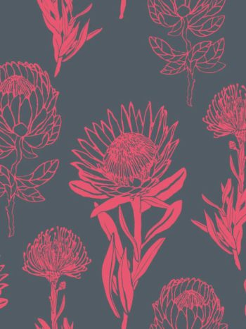 Protea Combo – Coral