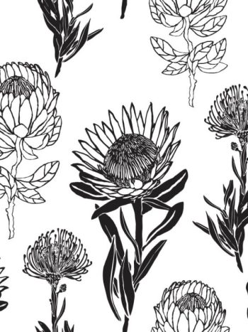 Protea Combo – Black & White