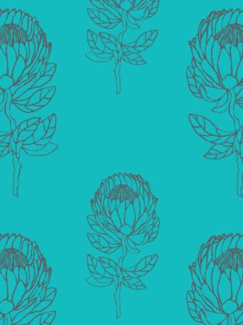 Protea – Teal