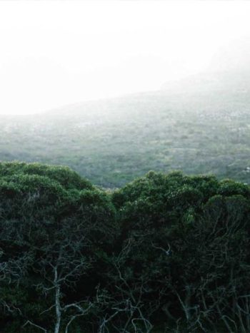 Noordhoek Path