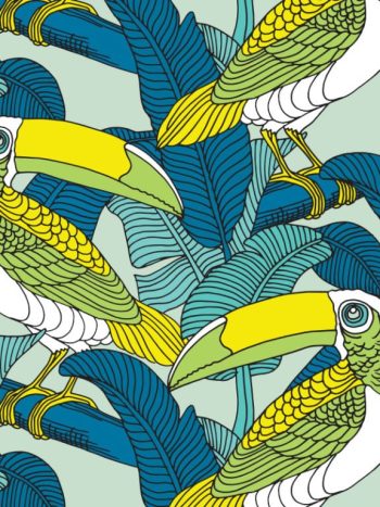 Toucan – Teal