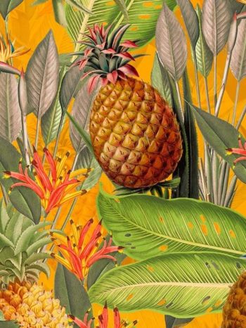 Tropical Leaves and Pineapples – Orange