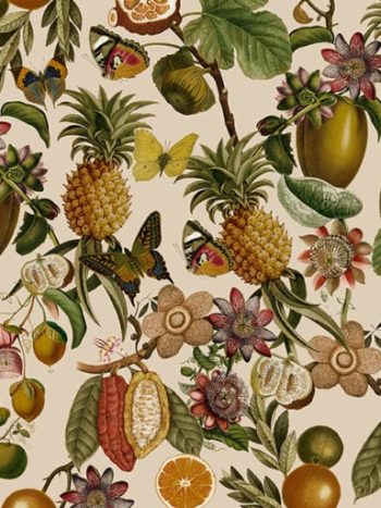 Vintage Moths Butterflies and Tropical Fruits Night Garden Sepia