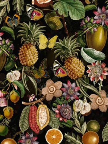 Vintage Moths Butterflies and Tropical Fruits Night Garden