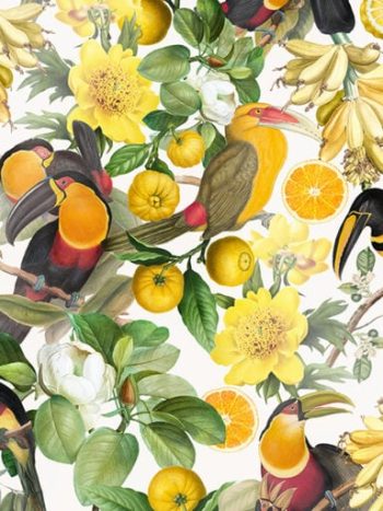 Vintage Toucans and Tropical Fruits