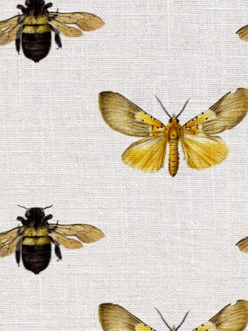 Bee and Moth Colour