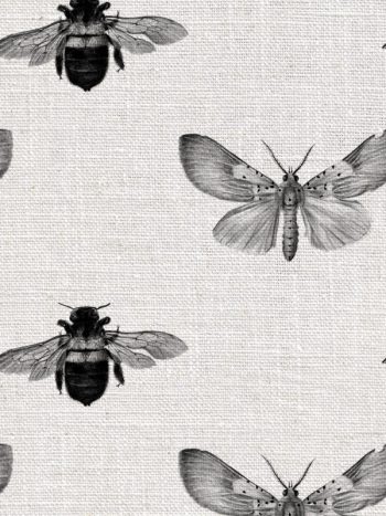 Bee and Moth Grey