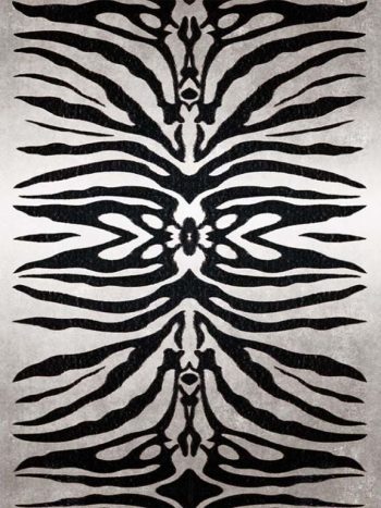 Zebra Mirage