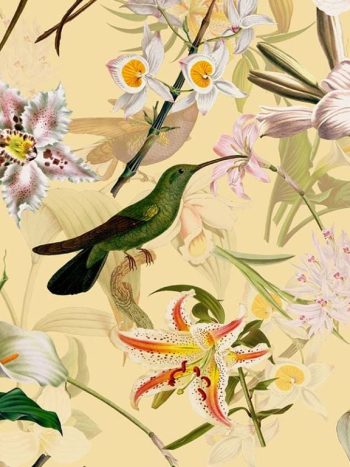 Hummingbirds and Tropical Flowers – Soft Cream