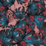 Fatsia – Pink