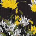 Succulant – Yellow