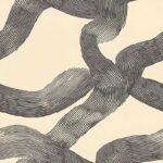 Soma Charcoal