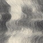 Tala Charcoal