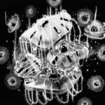 Plateaus Gems Reef