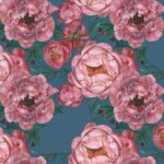 Eloise Peonies