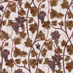 Grape Vine Autumn