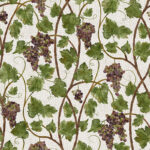 Grape Vine