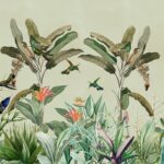 Hummingbird Panorama