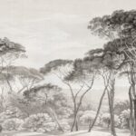 Italian Landscape Black and White