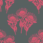 King Protea – Coral