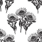 King Protea – Black & White