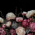King of Flowers
